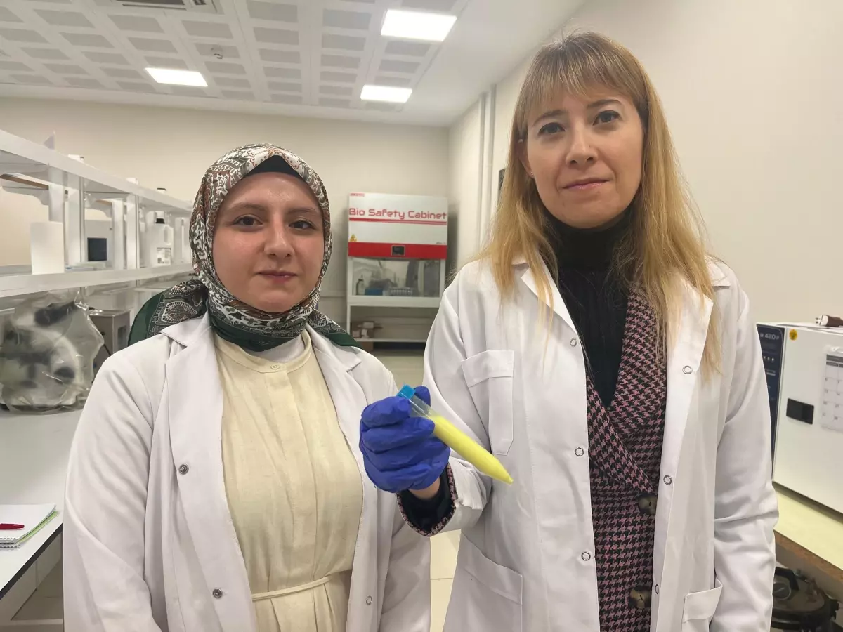 Dr. Cansu Ülker Turan’dan Ameliyat Sonrası Yara İyileşmesini Kolaylaştıracak Gelişim